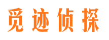 资阳区外遇出轨调查取证